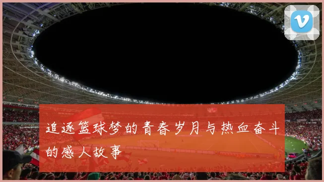 追逐篮球梦的青春岁月与热血奋斗的感人故事