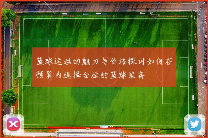 篮球运动的魅力与价格探讨如何在预算内选择合适的篮球装备