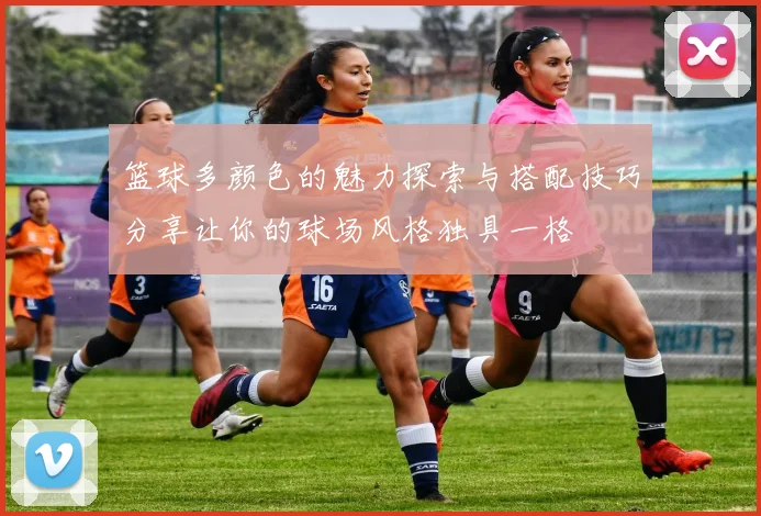 篮球多颜色的魅力探索与搭配技巧分享让你的球场风格独具一格