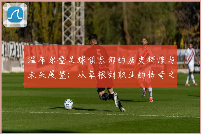 温布尔登足球俱乐部的历史辉煌与未来展望：从草根到职业的传奇之路