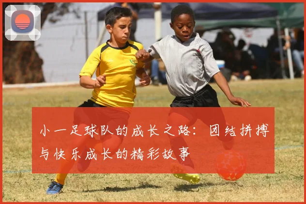 小一足球队的成长之路：团结拼搏与快乐成长的精彩故事