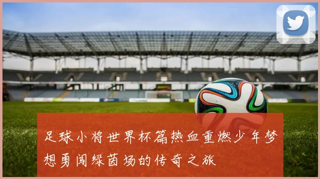 足球小将世界杯篇热血重燃少年梦想勇闯绿茵场的传奇之旅