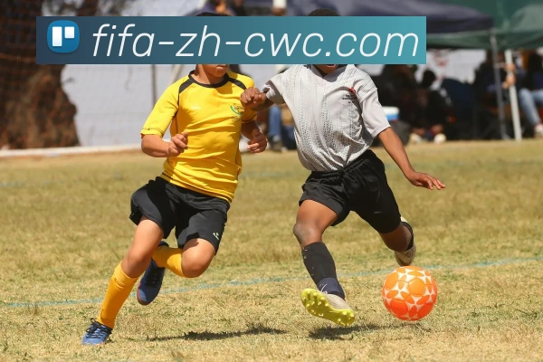 2026世界杯服务体系